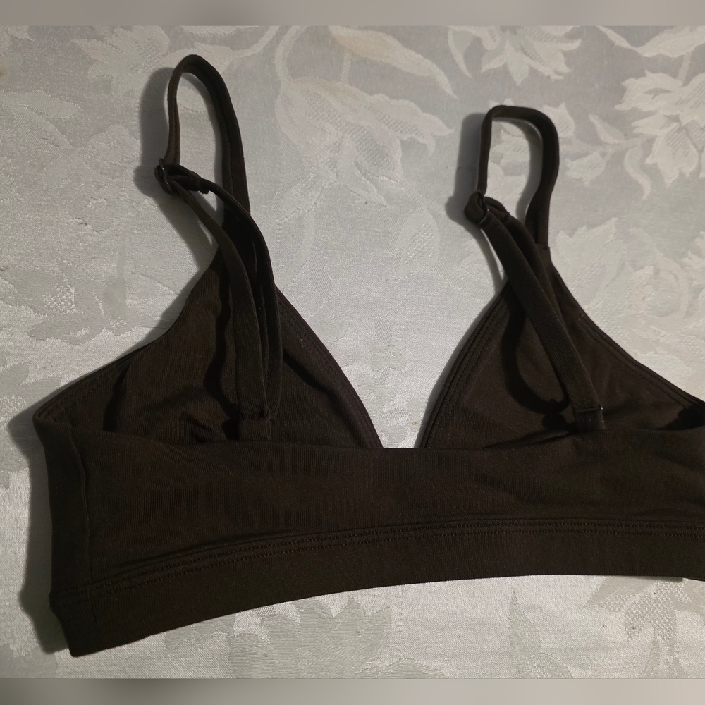 ARITZIA Dark Brown Bralette